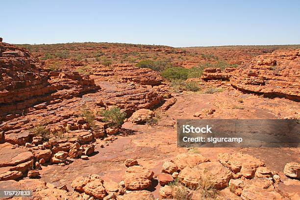 Photo libre de droit de Kings Canyon National Park Australie banque d'images et plus d'images libres de droit de Affaires - Affaires, Arbre, Australie