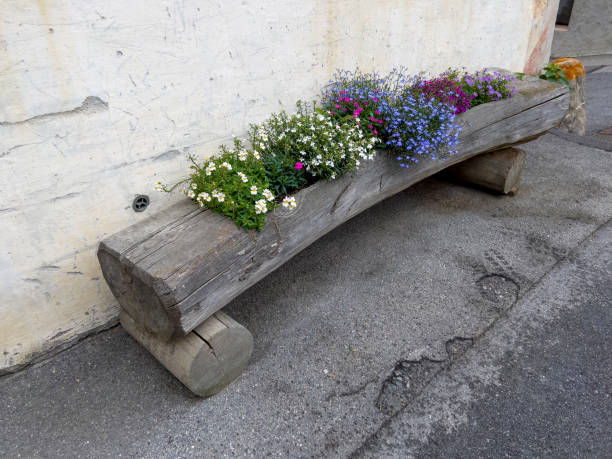 istock A creative flower trough with colorful flowers. 1757279565