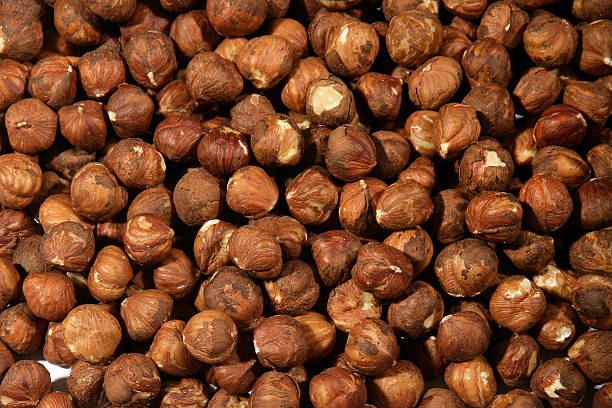 nuts stock photo