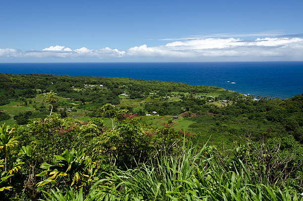 maui - traffel fotografías e imágenes de stock