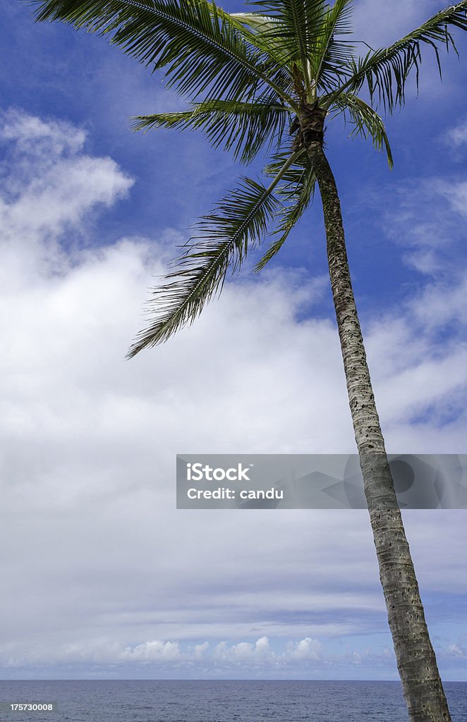 マウイ島 - カラフルのロイヤリティフリーストックフォト
