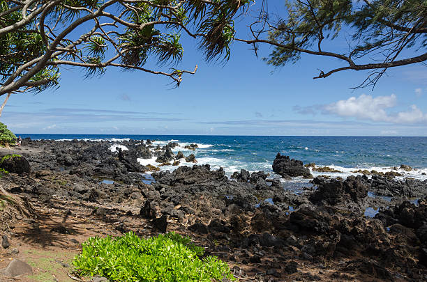 maui - traffel fotografías e imágenes de stock