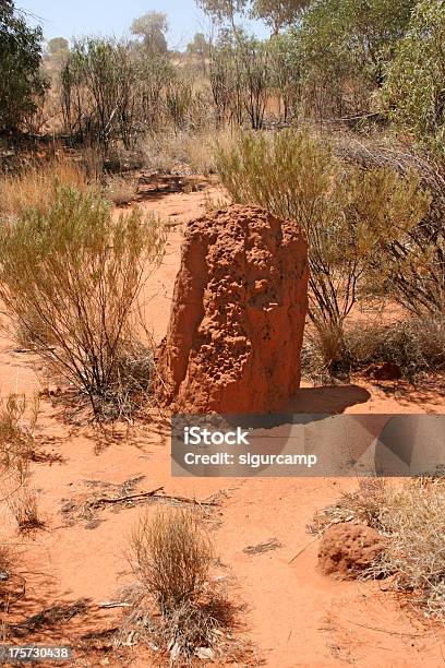 Termite Mounds Ant Hills Nidi Northern Territory - Fotografie stock e altre immagini di Affari