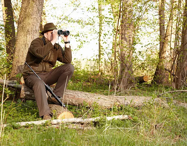 A game ranger looking through his binoculars while sitting on a log