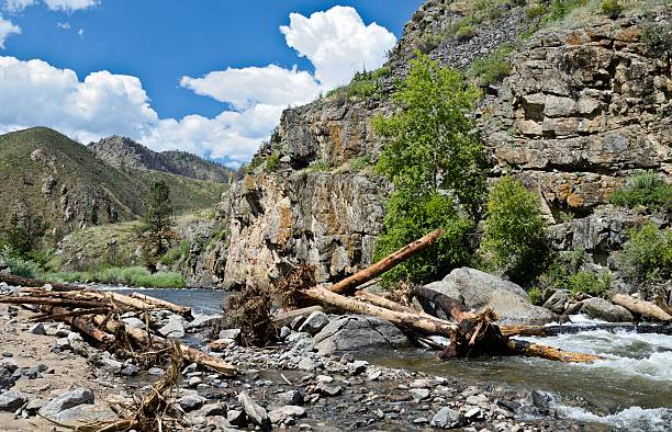 istock Debris in Poudre River 175731578