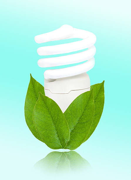 istock Energy saving light bulb and green leaves 175731608