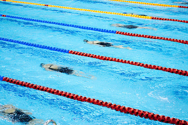 istock swimmers swimming in a pool 175734262