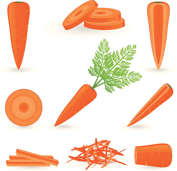 zestaw ikon marchewka - carrot vegetable portion cross section stock illustrations