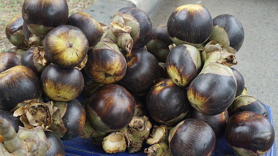 Borassus flabellifer, commonly known as doub palm, Sugar palm, palmyra palm, tala or tal palm, toddy palm, buah lontar (Indonesia), and boh teu (Aceh)