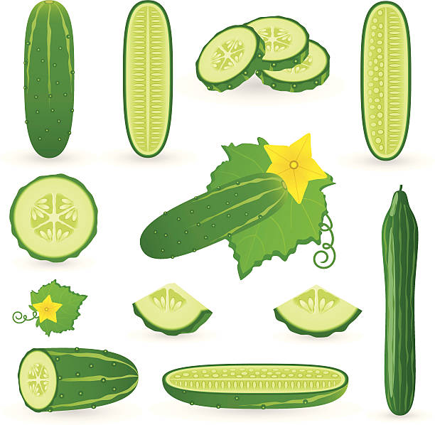 illustrazioni stock, clip art, cartoni animati e icone di tendenza di icona set di cetriolo - cucumber vegetable plant single flower