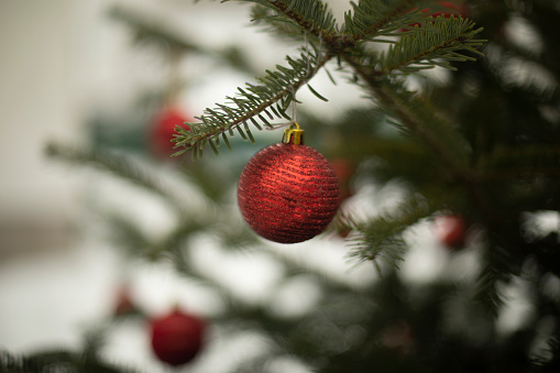 Red ball on green Christmas tree. Decoration for Christmas. Christmas Tree Details. Red sphere.