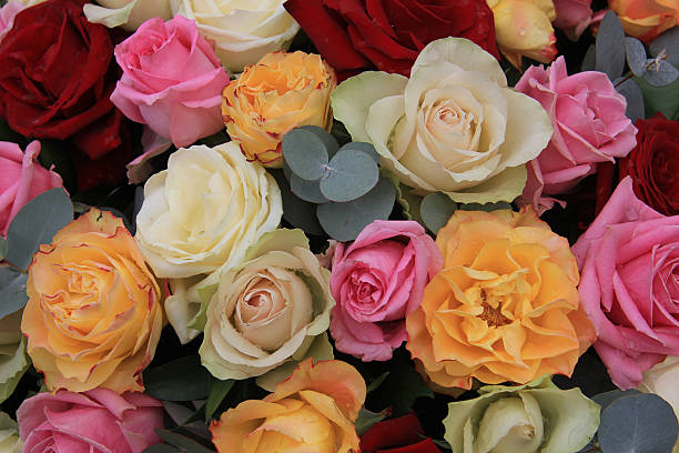 istock red and pastel roses in a mixed rose arrangement 175737186
