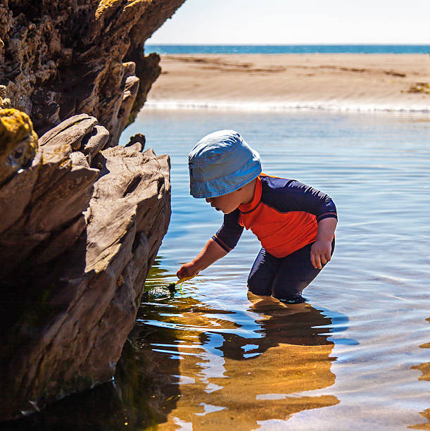 Boy in Rock Pool at Beach Young boy plays with seaweed in a rock pool on a sunny at the beach in Summer. tidal pool stock pictures, royalty-free photos & images