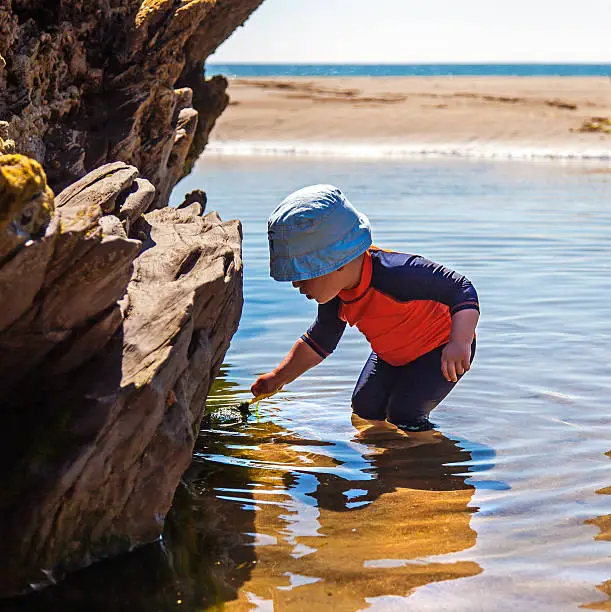 Photo of Boy in Rock Pool at Beach
