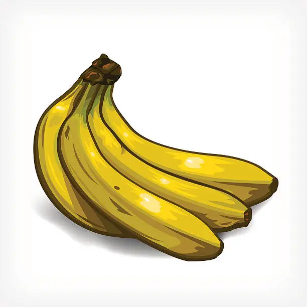 Vector illustration of Vector Bananas