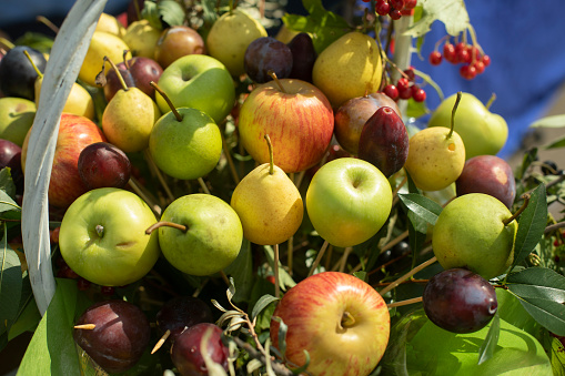 Apples and pears. Autumn harvest. Healthy food. Fruit Teksttura.