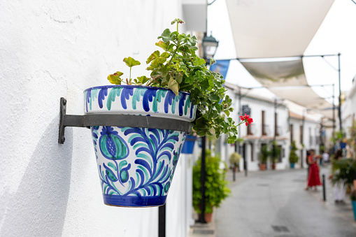 Rustic charm in the Andalusian village: Hanging pots accentuate the traditional charm against whitewashed walls