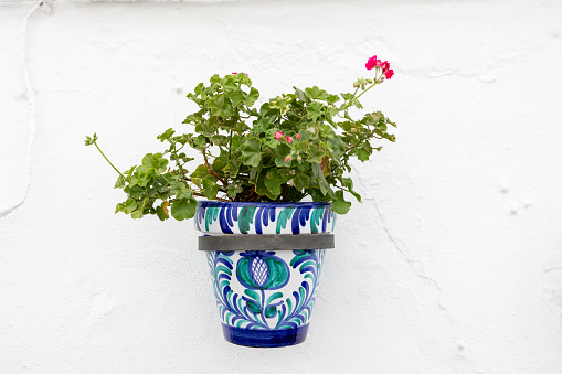 Rustic charm in the Andalusian village: Hanging pots accentuate the traditional charm against whitewashed walls