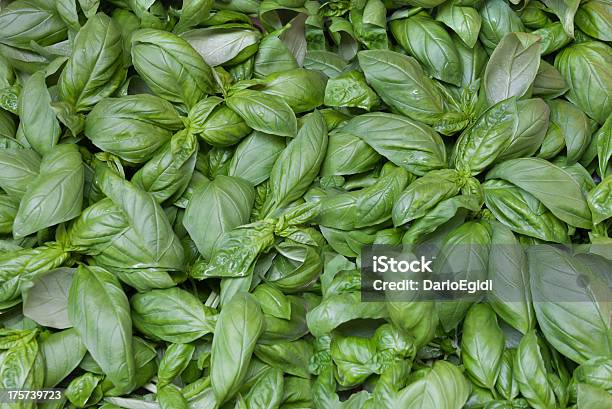 Cibo Verdure Basilico - Fotografie stock e altre immagini di Basilico - Basilico, Alimentazione sana, Cibo