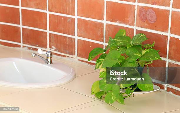 Foto de Plantas Ornamentais Com Pias e mais fotos de stock de Apartamento - Apartamento, Arquitetura, Arranjo