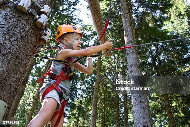 Tree Climbing Stock Photo - Download Image Now - Activity, Adventure, Balance