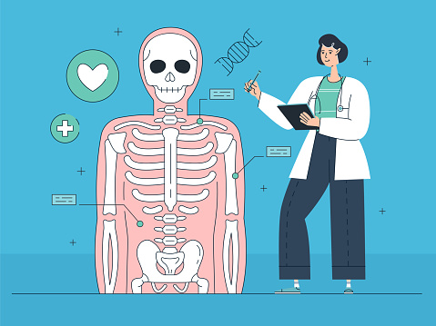 Human Anatomy Flat Design Illustration
