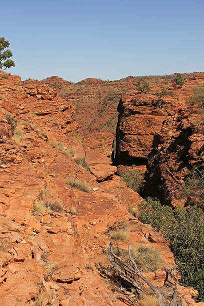 istock Kings canyon national park, Australia 175740566