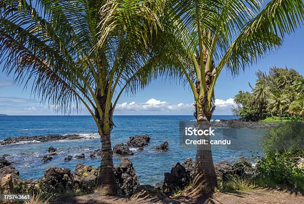 Maui Stockfoto und mehr Bilder von Baum - Baum, Biegung, Blau