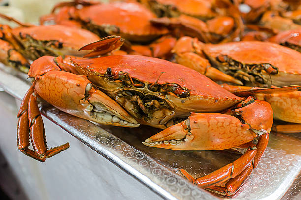 Teochew cold crab stock photo