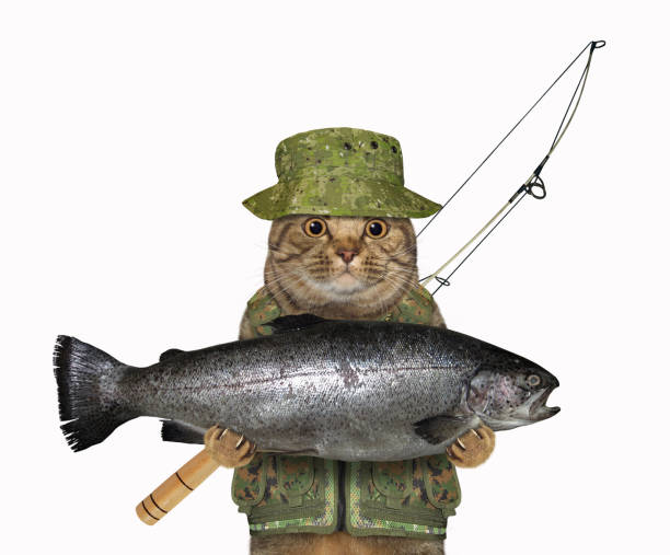 istock Cat fisher holding big fish 1757440565