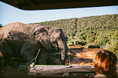 Exploring safari with a female ranger