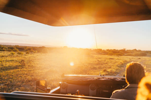 istock Exploring safari with a female ranger 1757444855