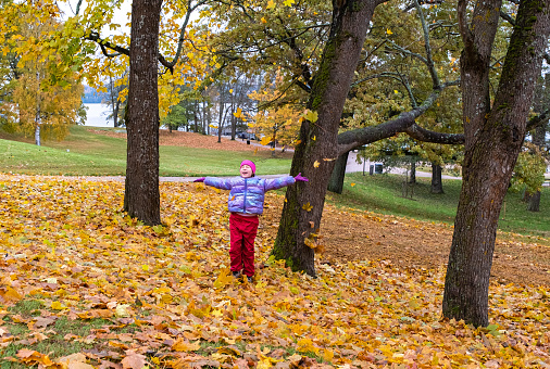 A child's walk in the autumn park in Finland, Lahti.