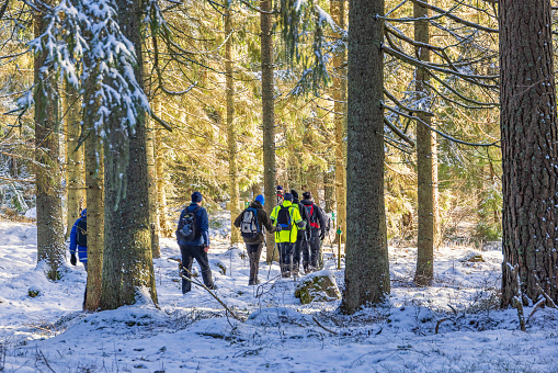 Skara, Sweden-February, 2022: Hiker on a forest path in a wintry forest with snow