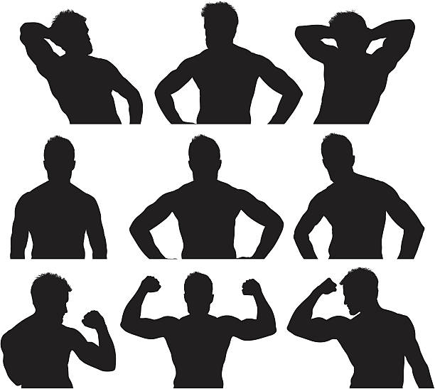 wiele obrazów z mięśni mężczyzna - muscular build white background men shirtless stock illustrations