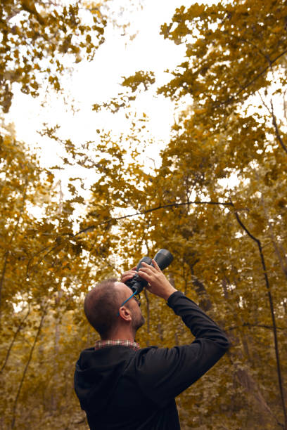 istock Man using binoculars for birdwatching and observing other animals in nature. 1757463685