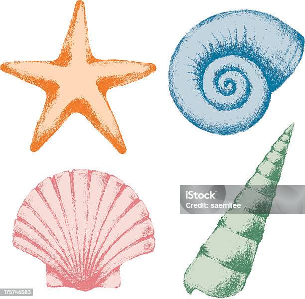 Sea Shell Stock Illustration - Download Image Now - Retro Style, Beach, Sketch