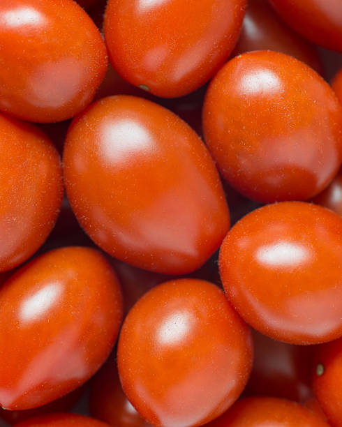 istock Fresh italian datterino cherry red tomato background pattern 175746751