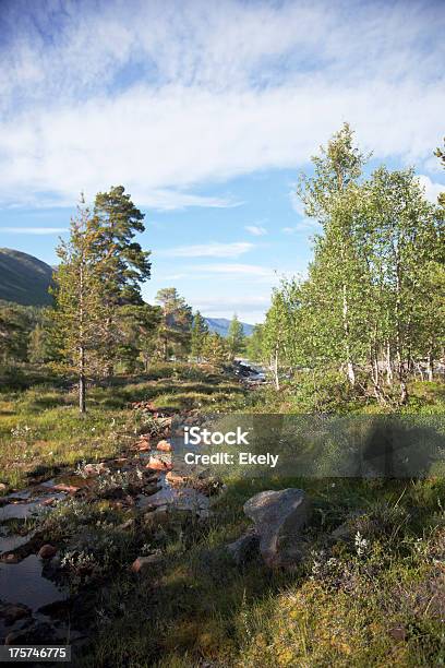 Corrente Com Red Rocks No Verão - Fotografias de stock e mais imagens de Ao Ar Livre - Ao Ar Livre, Azul, Beleza natural