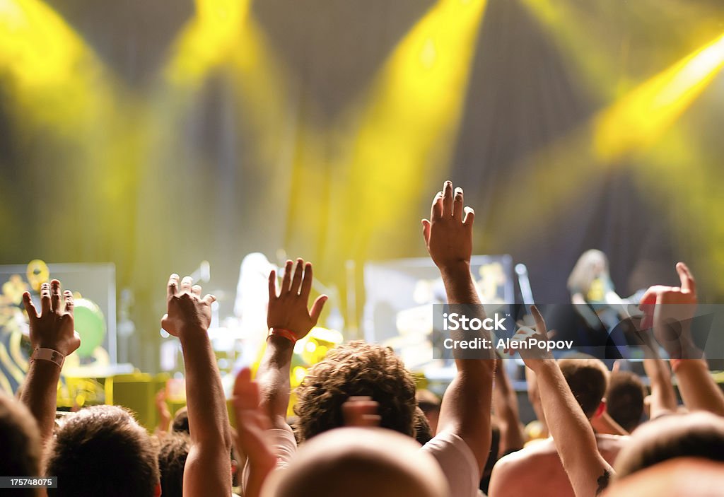 Konzert Menschenmenge - Lizenzfrei Menschenmenge Stock-Foto