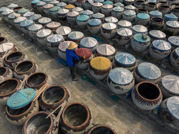 Making traditional fish sauce 