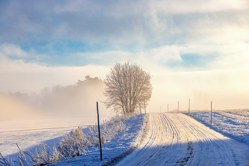 Winter road with snow and fog in the countryside
