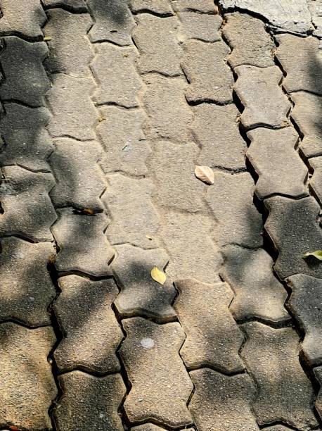 istock a cobblestone street with a tree in the background. 1757489090