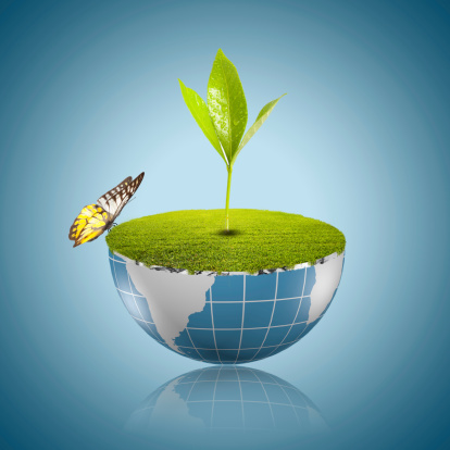 Globe with soil and green plant sprout and butterfly on top. Concept for environmental conservation