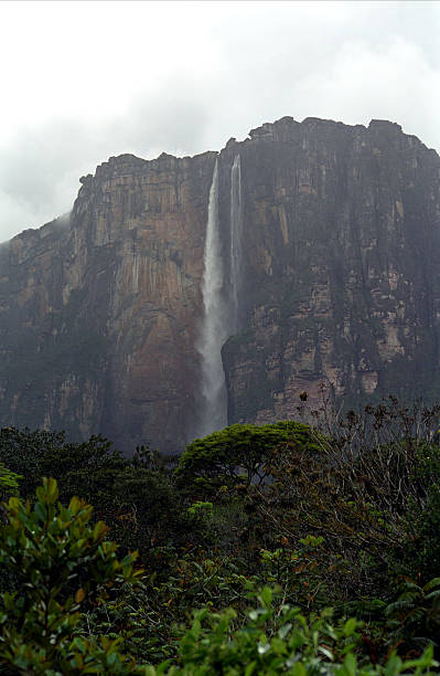 istock Angel Falls, Canaima, Venezuela 175749530