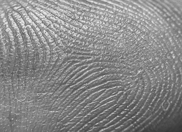 Palm stamps on a sand