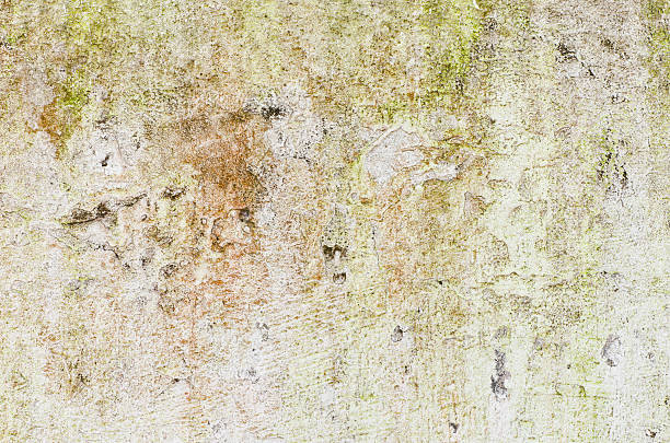 istock Dirty paint color white wall for background user 175752382