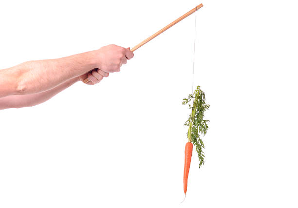 motivation de carotte - stick dangling a carrot carrot motivation photos et images de collection