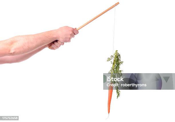 Motivação De Cenoura - Fotografias de stock e mais imagens de Dangling a Carrot (expressão inglesa) - Dangling a Carrot (expressão inglesa), Alcançar, Braço Humano