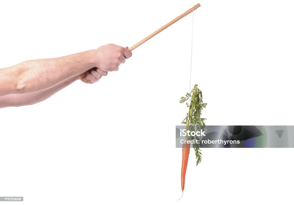 Мотивация Морковь - Стоковые фото Морковка перед носом роялти-фри